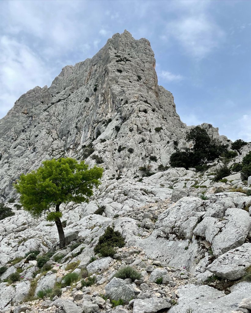 Photo of Passavamo sulla Terra Leggeri