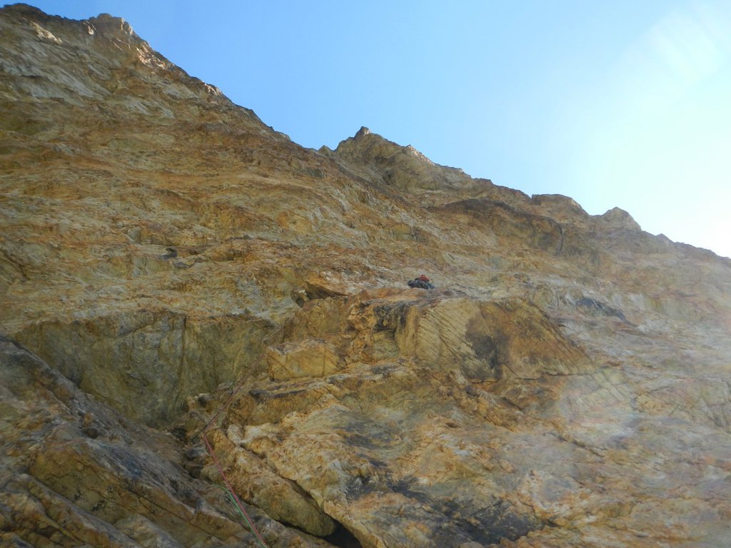 Photo of California Tris