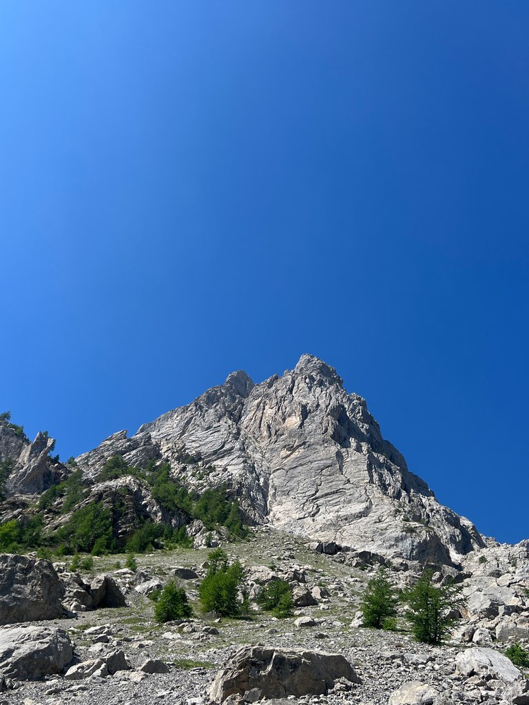 Photo of En Avant la Zizique