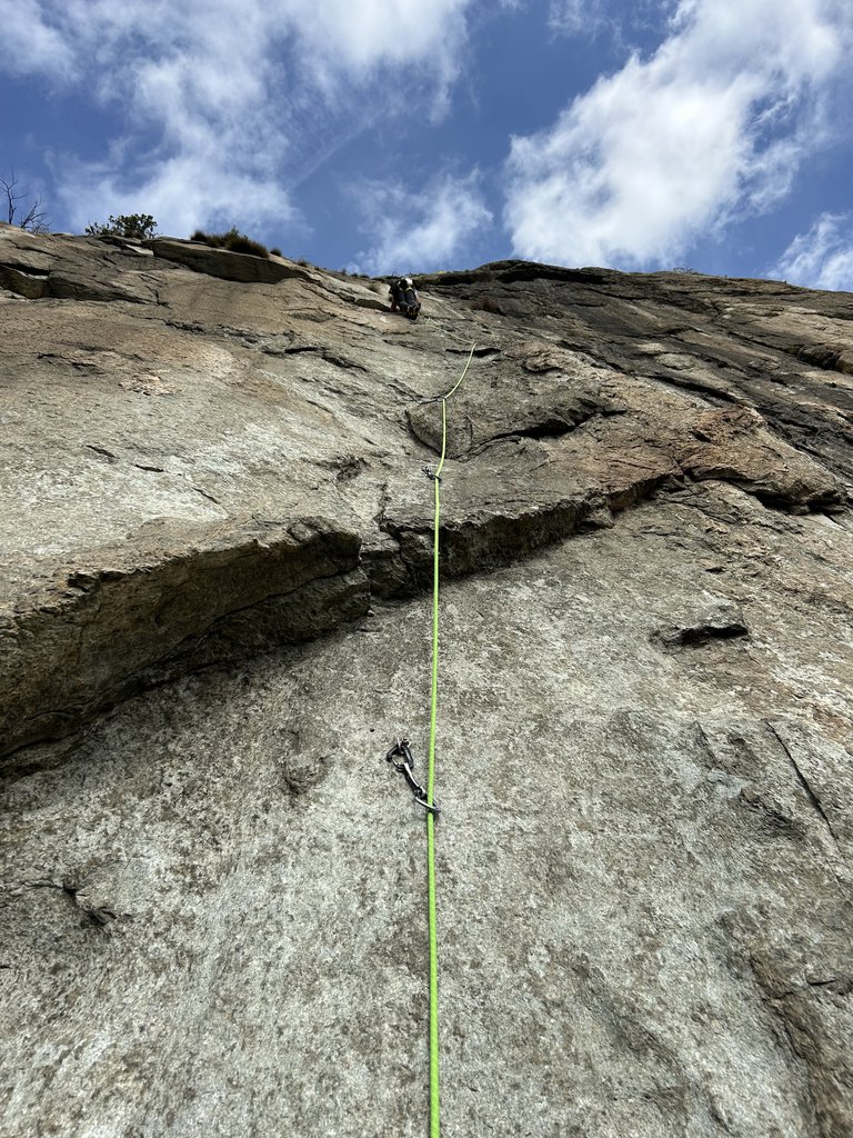 Photo of Topo Bianco
