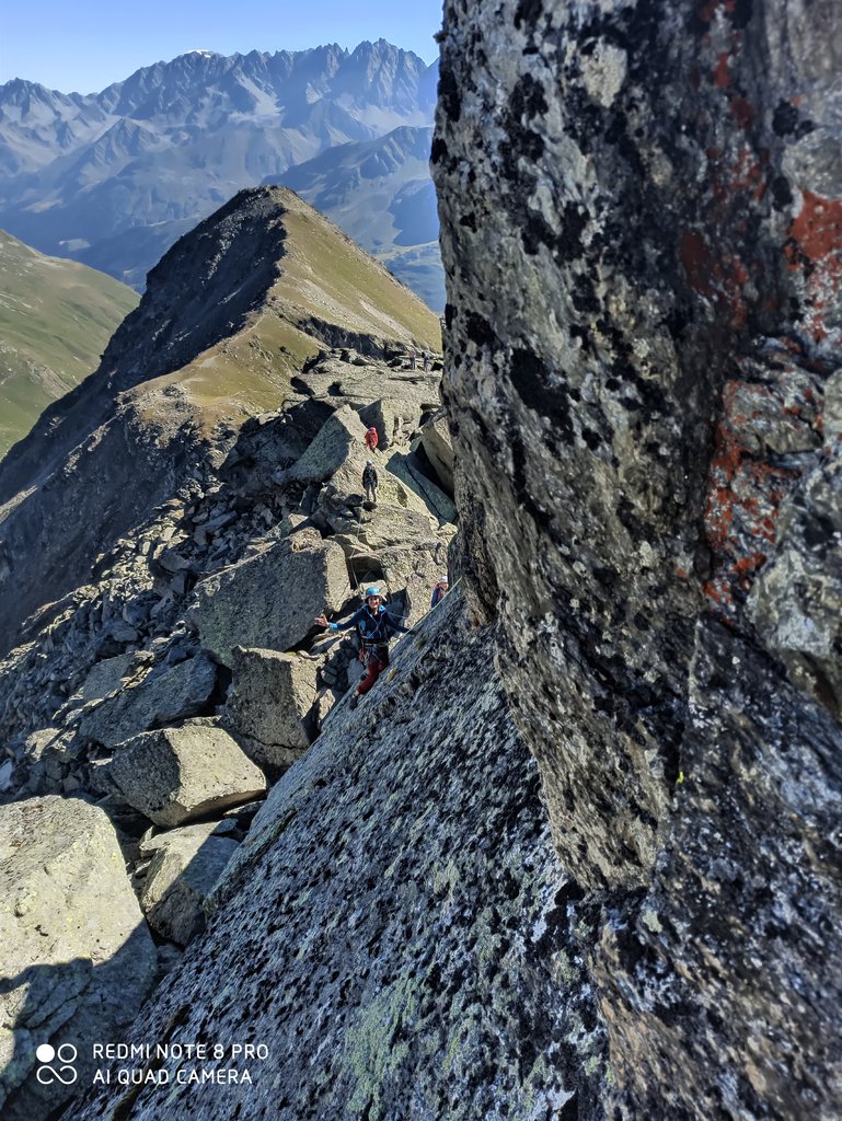Photo of Dronalette
