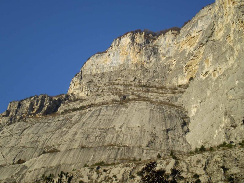 Photo of Lo scudo Mariposa Libre