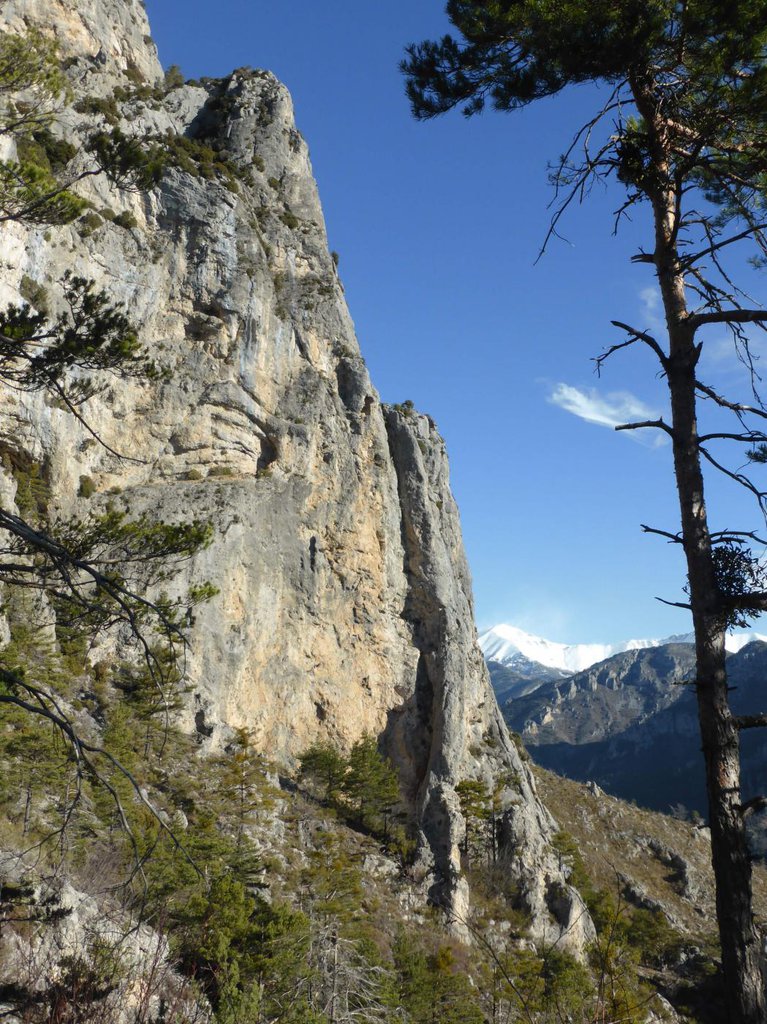 Photo of Pilier des Italiens