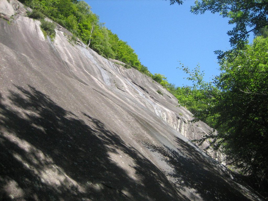 Photo of Nuova Dimensione