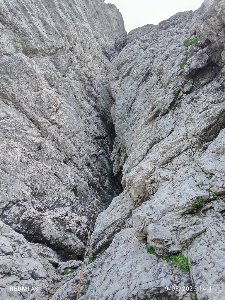 Photo of Diedro Cozzolino