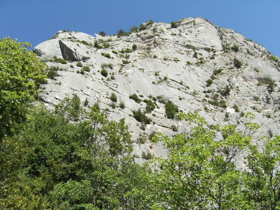 Photo of Adrech (Piler de l’), Massacre á la débroussailleuse