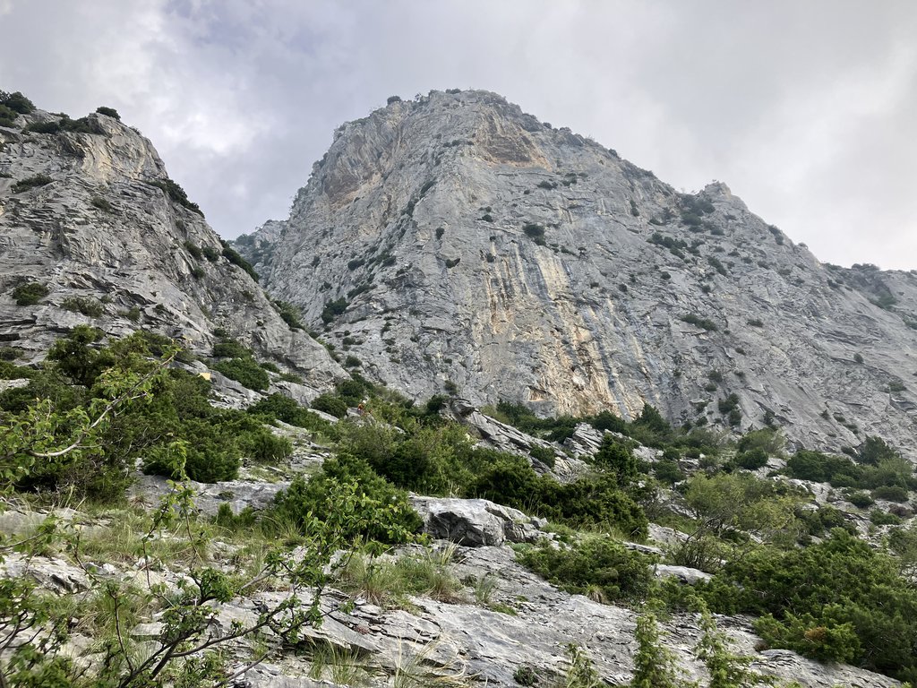 Photo of Sandwich di Pugni