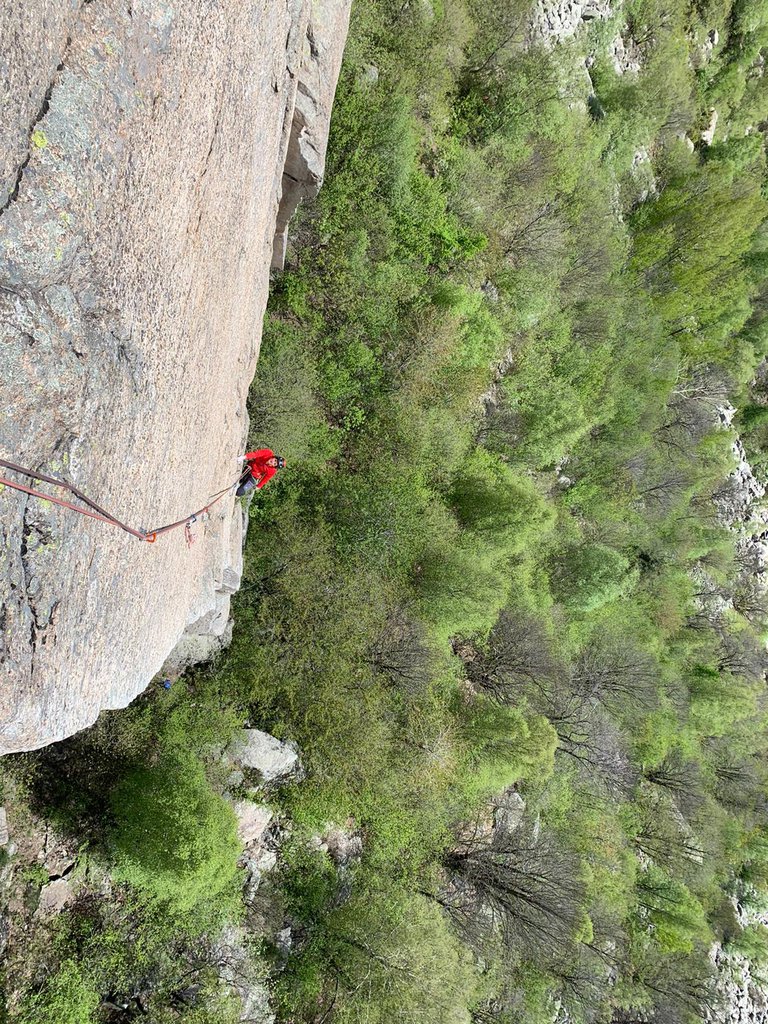 Photo of Pirimpelle a Puntino