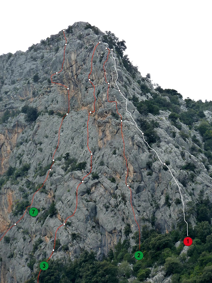 Photo of Codina di Topo