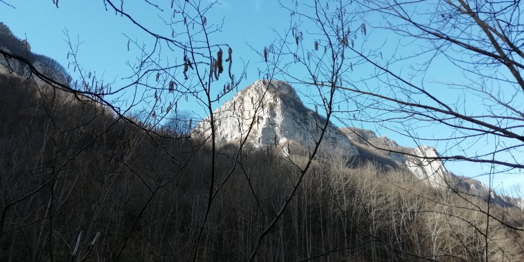 Photo of Axerio