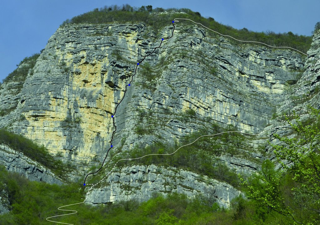 Photo of Diedro Stefani-Toldo