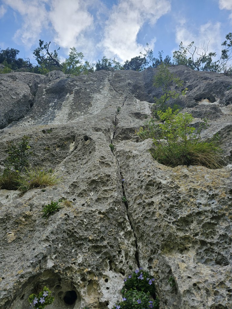 Photo of Attraverso il Fico
