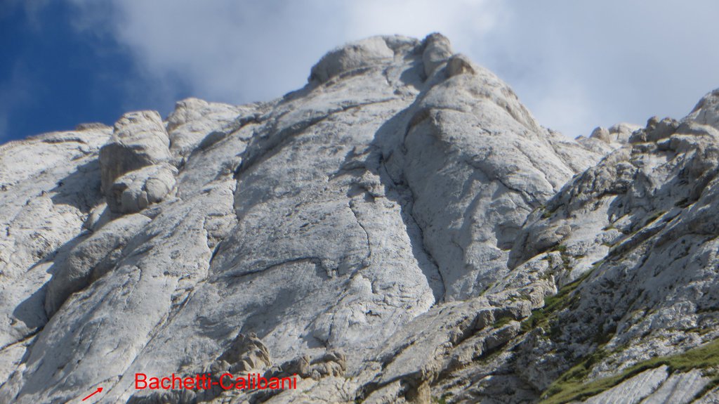 Photo of Bachetti-Calibani
