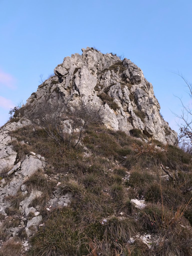 Photo of Cresta OSA