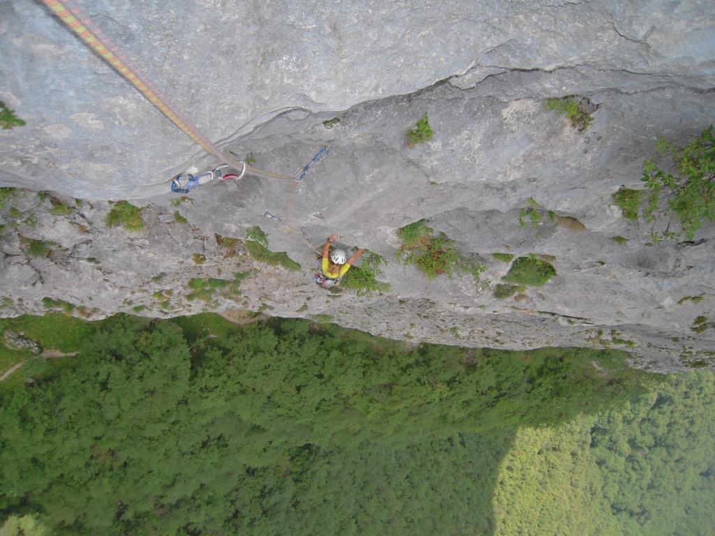 Photo of Crudelia