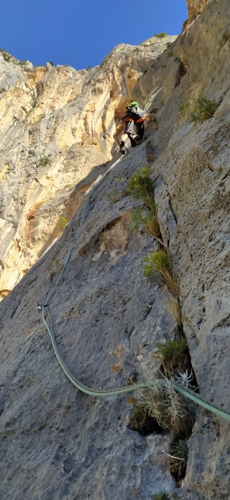 Photo of Ischintzidda