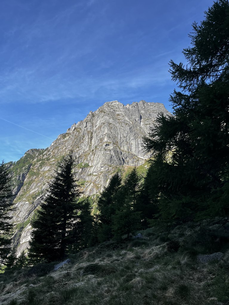 Photo of Labocaiana