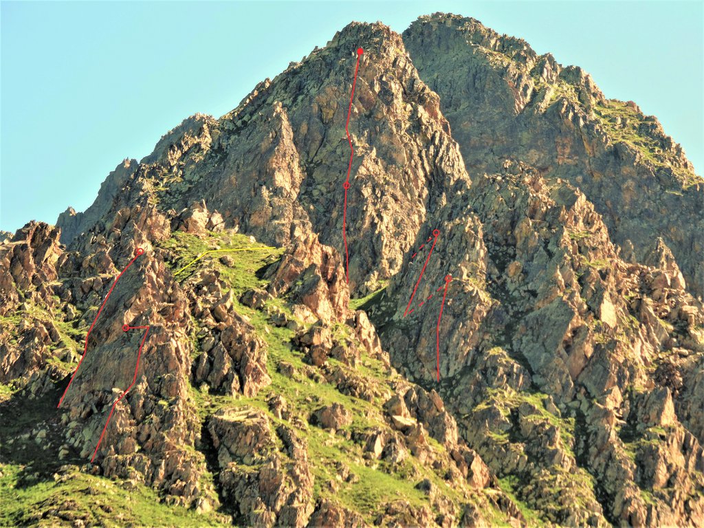 Photo of La processionaria