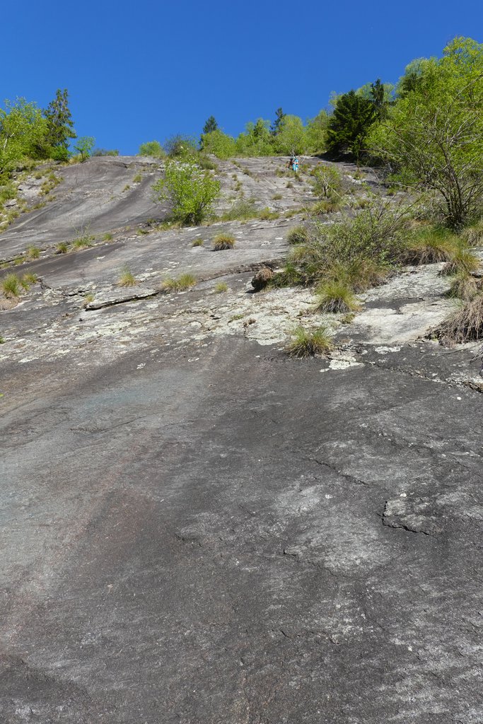 Photo of Straordinari non Retribuiti