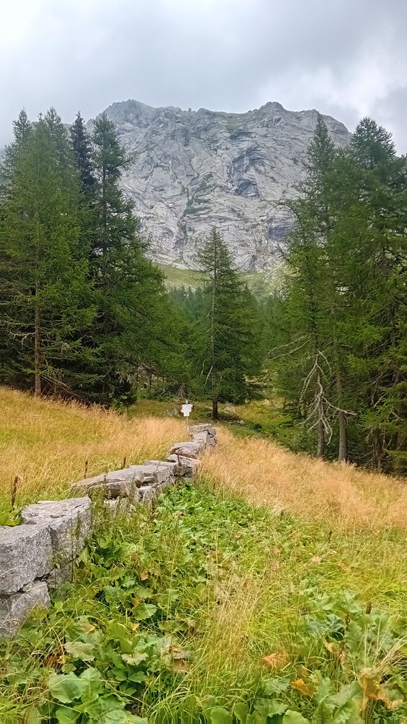 Photo of Anonima Sequestri
