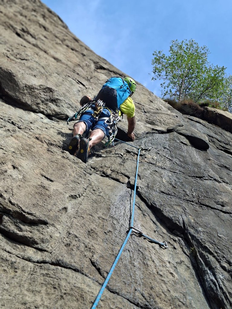 Photo of Bucce d’Arancia