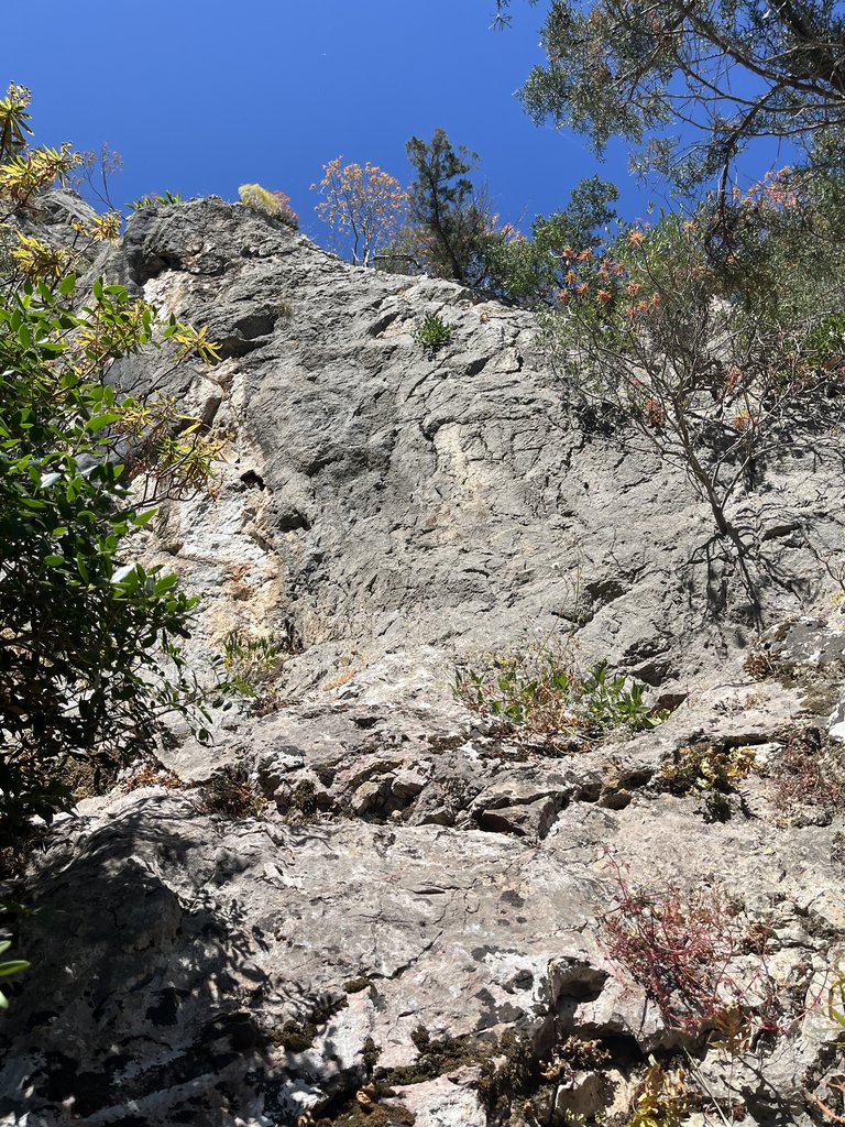 Photo of Franopoli