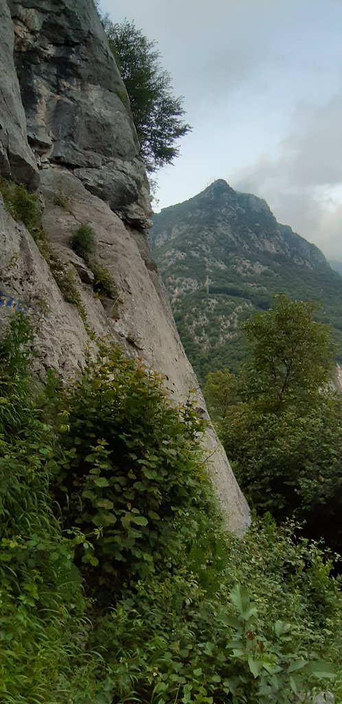 Photo of Necropolis