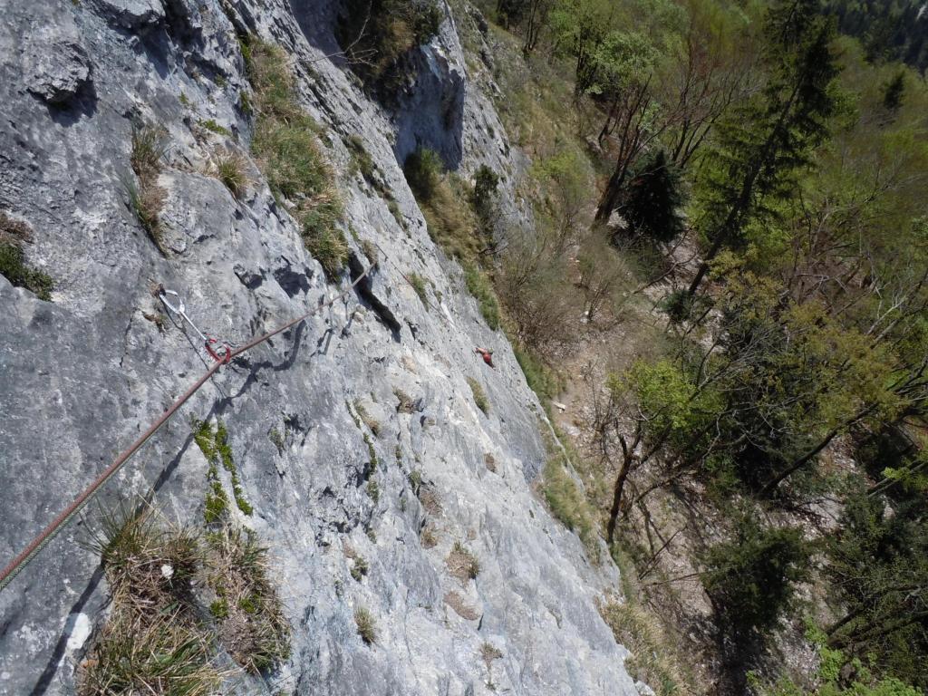 Photo of Les Tropiques