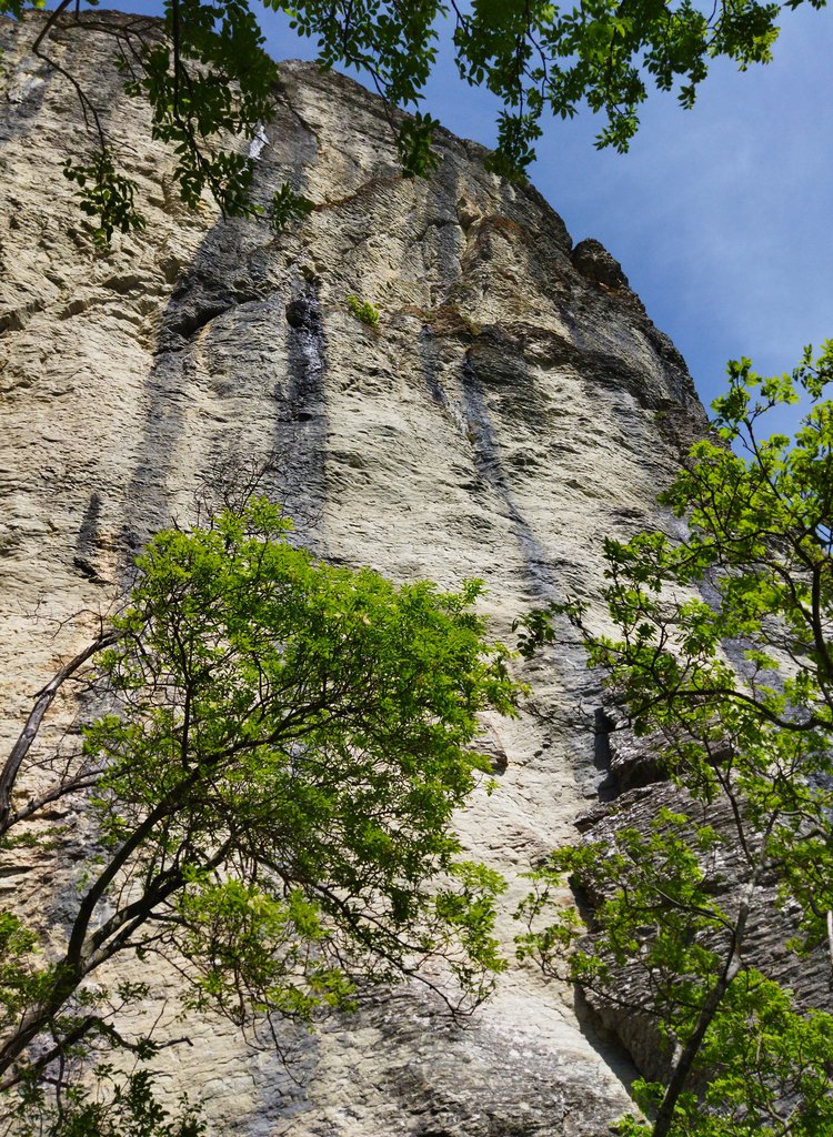 Photo of Muro dei Grilli