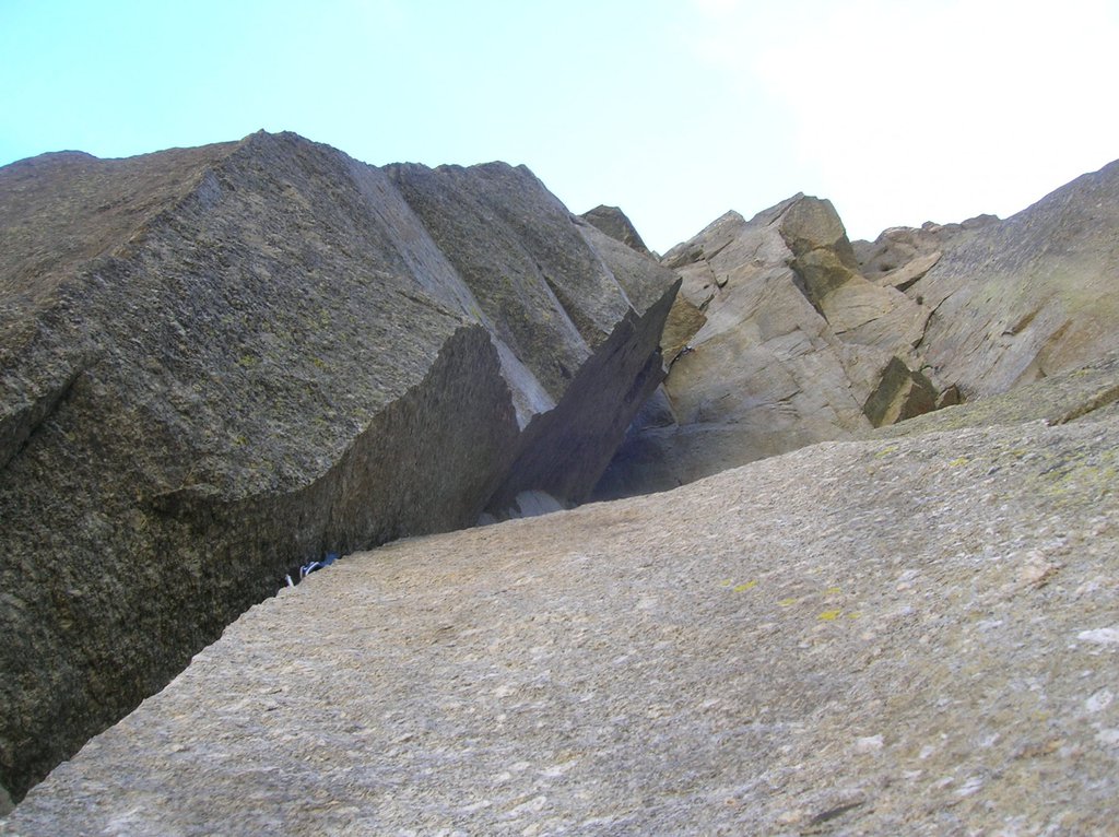 Photo of Fettuccia Nera