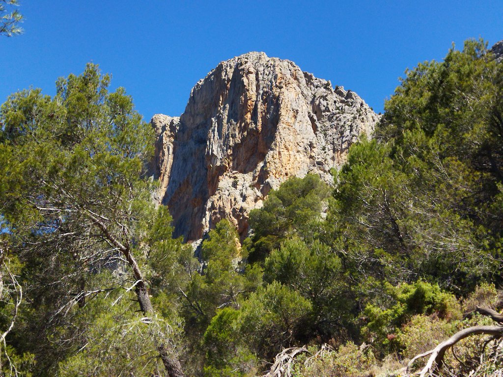 Photo of Directa Petete