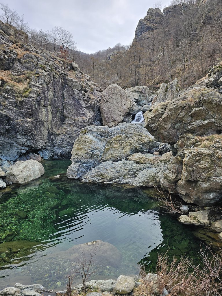 Photo of Alba Rossa