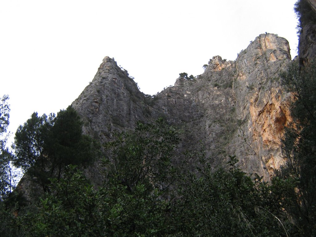 Photo of Puig de Sa Gubia Albahida