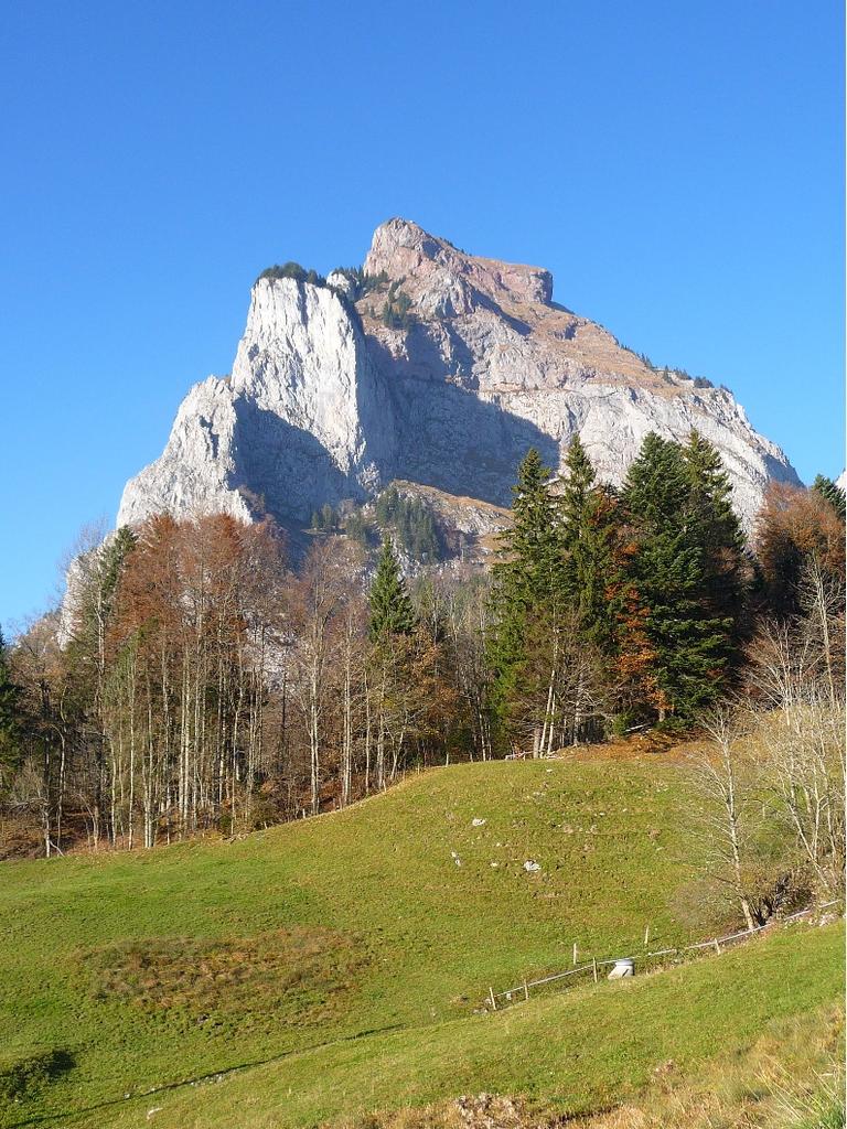 Photo of Geisstock 1613 m Parete SE via Gruter-Anderruthi