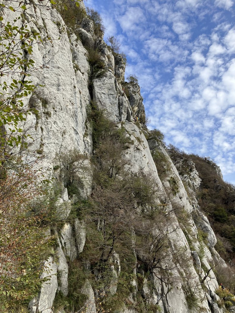Photo of Anabasi