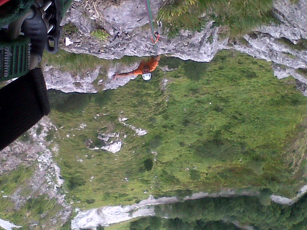 Photo of Apericorchia