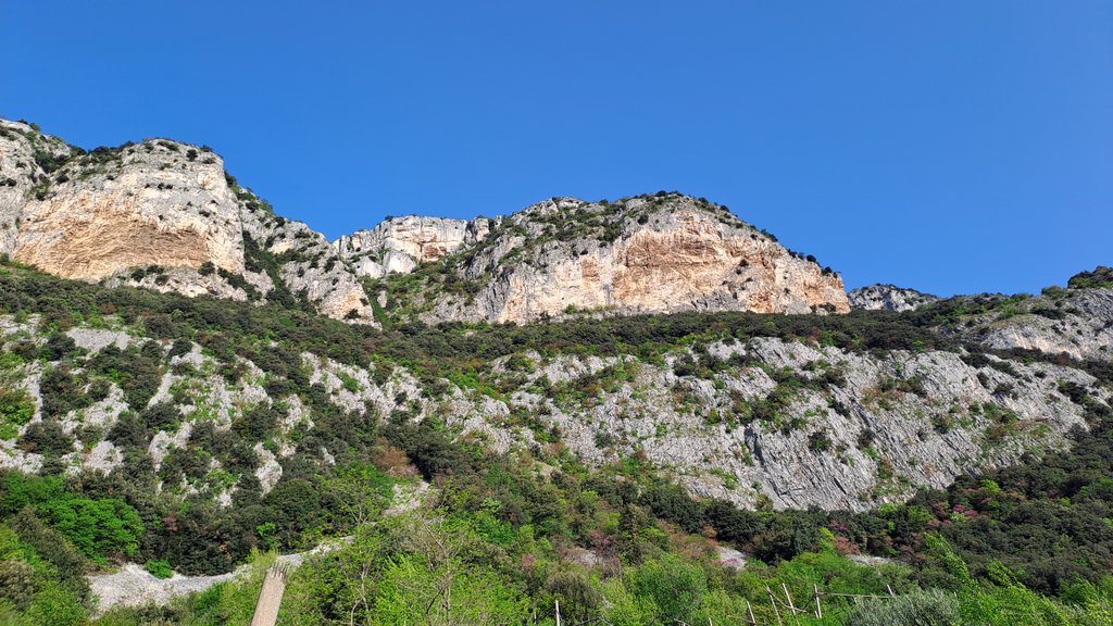 Photo of Dolce fragilità