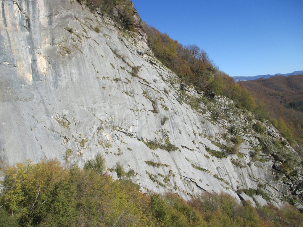 Photo of Grande Magooo