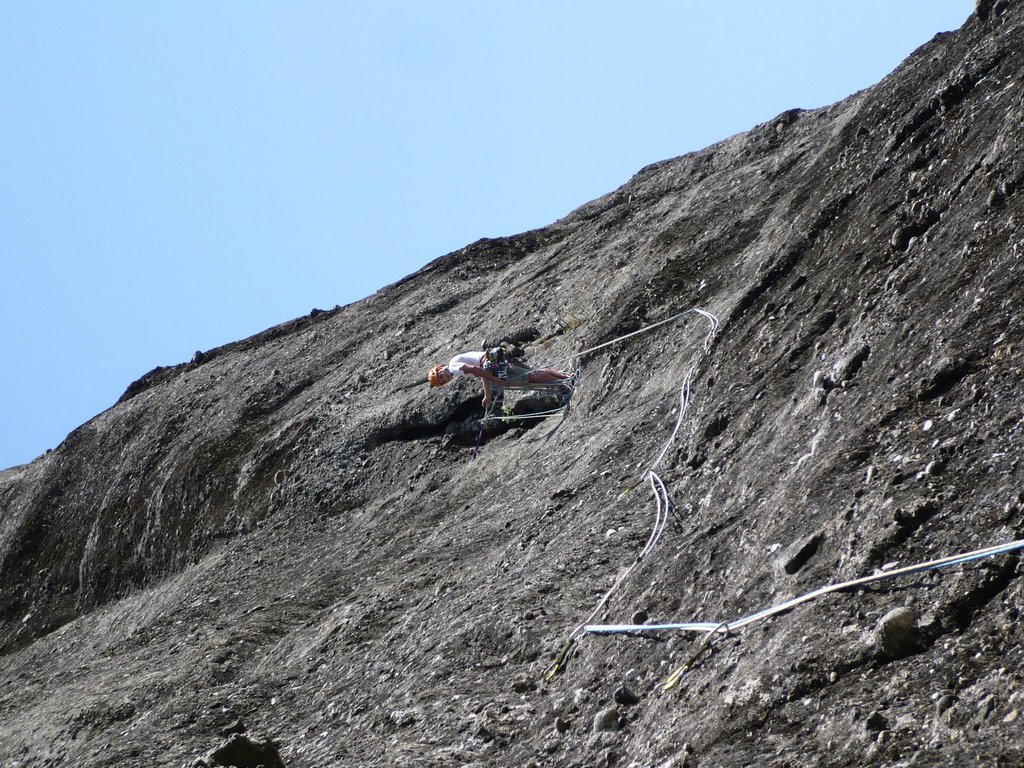 Photo of Apollofalter