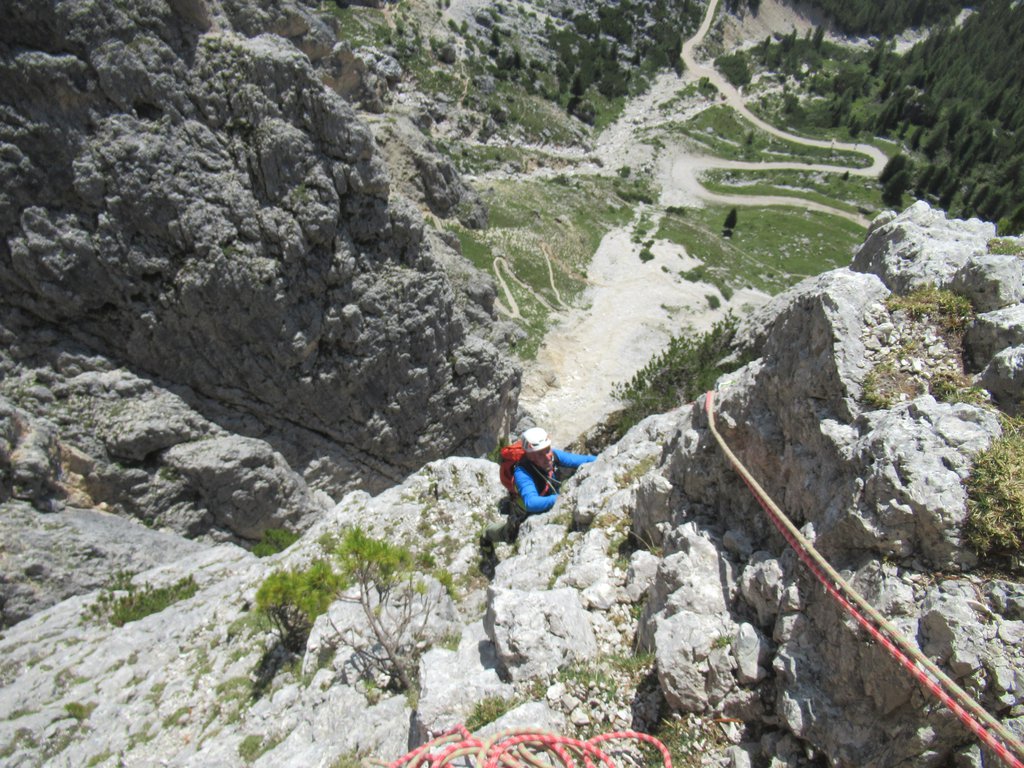 Photo of Marmotta Volante