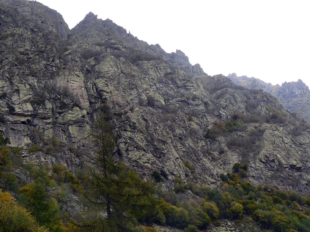 Photo of Odore di Fieno