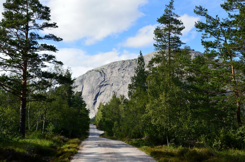 Photo of Hægefjell Agent Orange