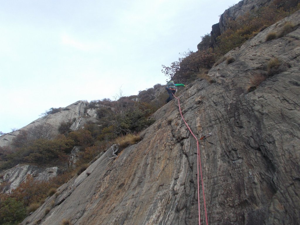 Photo of Diedro Plat