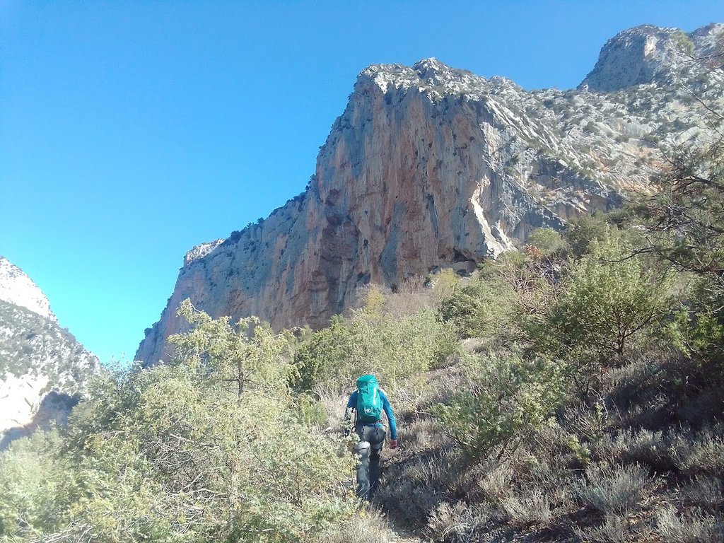 Photo of Vertige de l’Amoure