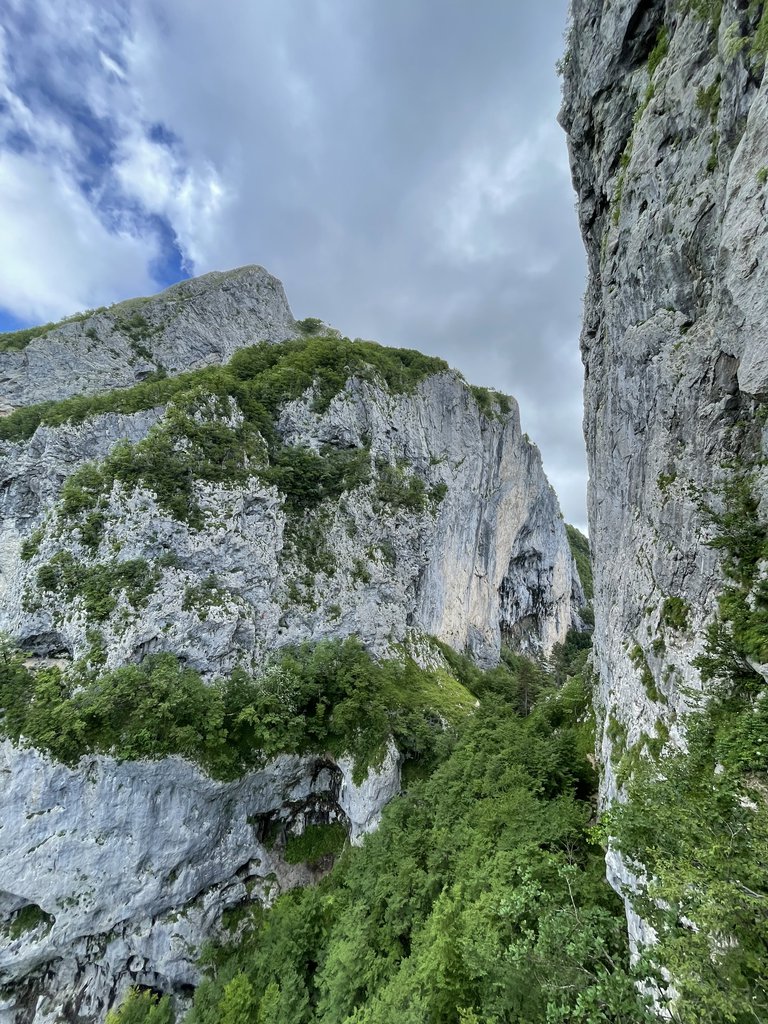 Photo of Immagine Riflessa