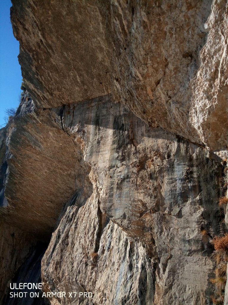 Photo of Il Ruggito del Coniglio