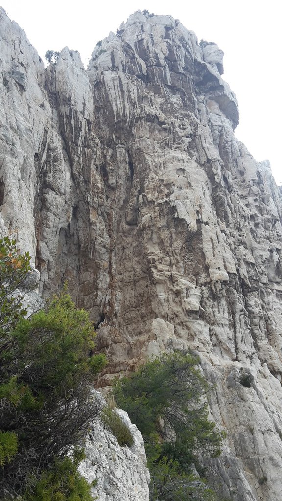 Photo of Falaise du belvedere Le futurs croulants