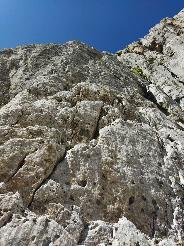 Photo of Abracadabra