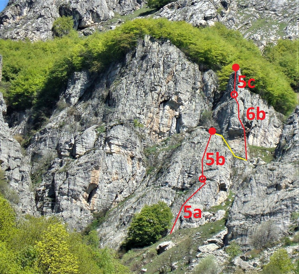 Photo of Enrico 1° Re di Talponia