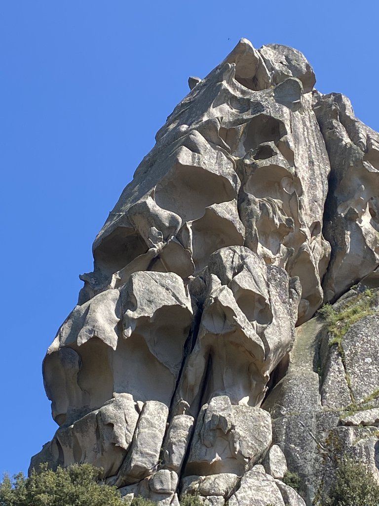Photo of The Short Hope